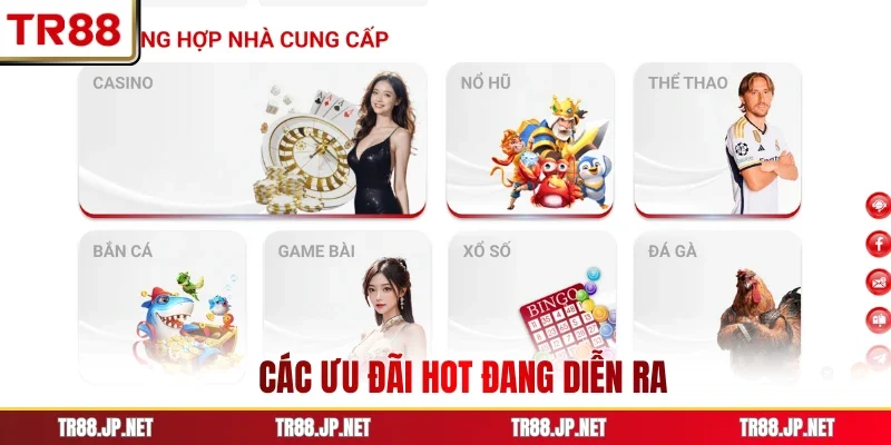 Các ưu đãi hot đang diễn ra