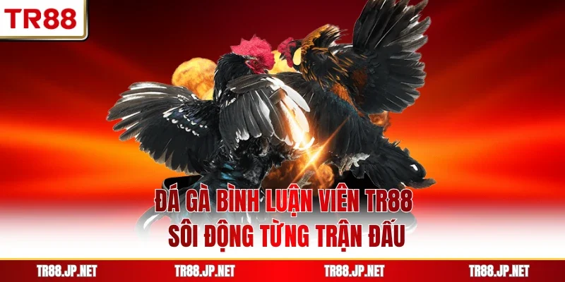 Đá Gà Bình Luận Viên TR88 - Sôi Động Từng Trận Đấu