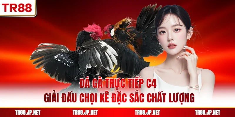 Đá gà trực tiếp c4 mang đến những trận đấu kịch tính, được truyền hình sắc nét, luật rõ ràng, giám sát minh bạch, tạo trải nghiệm hấp dẫn tại nền tảng TR88.