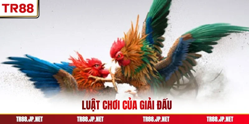 Luật chơi của giải đấu