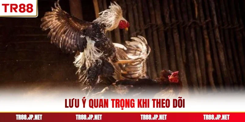 Lưu ý quan trọng khi theo dõi