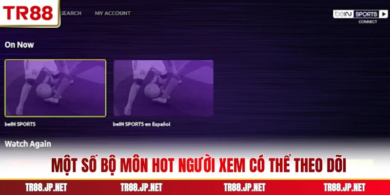 Một số bộ môn hot người xem có thể theo dõi